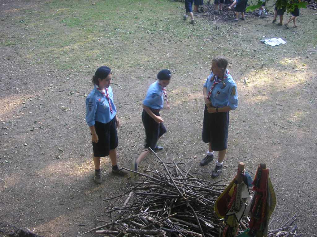 2006 145