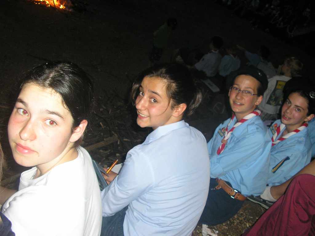 2006 223