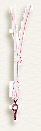 wp886c5ab9_0f.jpg