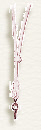 wpaba002c5_0f.jpg